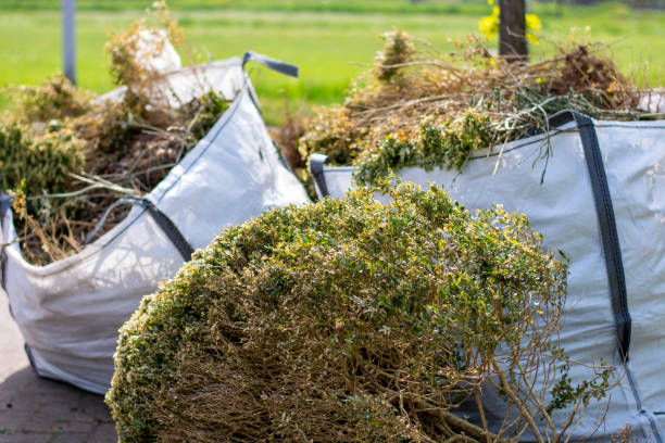 Best Construction Debris Removal  in Julian, CA